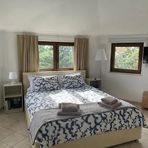 Apartment Need, Pula